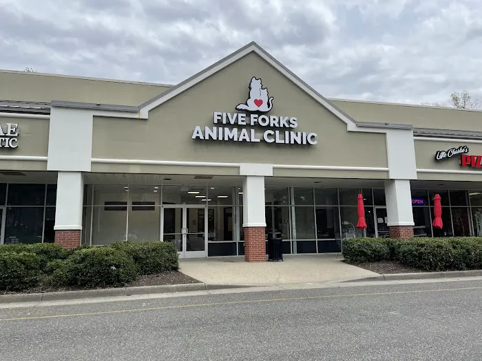 Five Forks Animal Clinic Picture 10