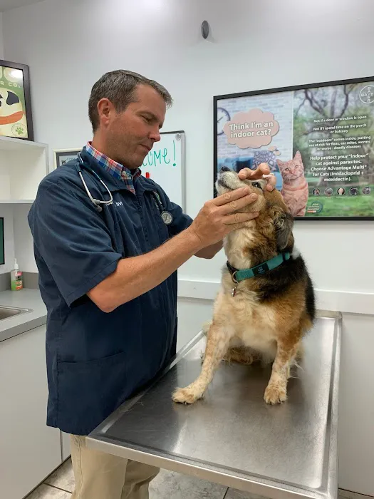 Williamsburg Veterinary Clinic Picture 4