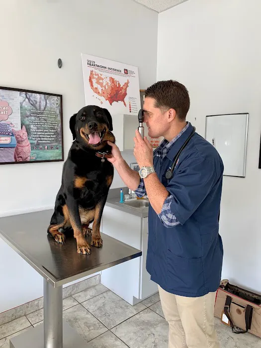 Williamsburg Veterinary Clinic Picture 3