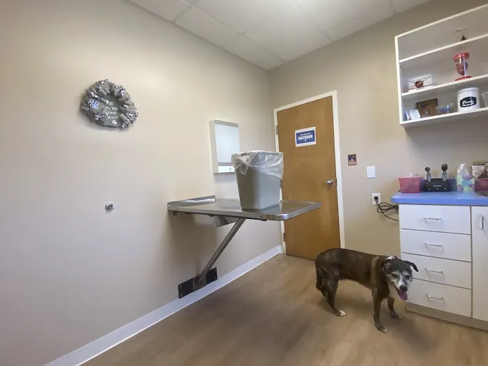 Seaford Veterinary Medical Center Picture 5