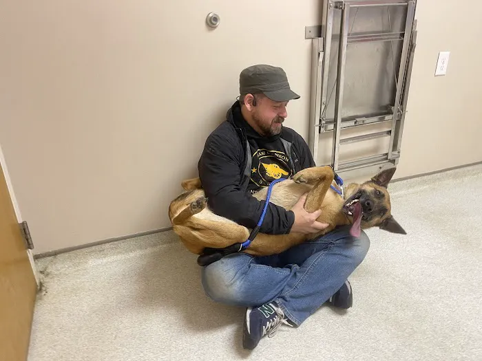 Seaford Veterinary Medical Center Picture 7