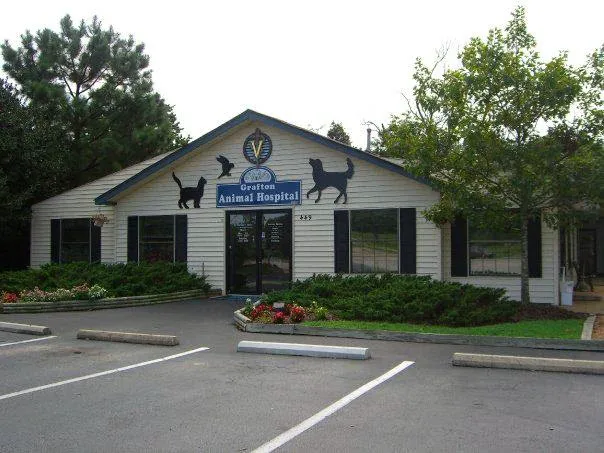 Grafton Animal Hospital Picture 5