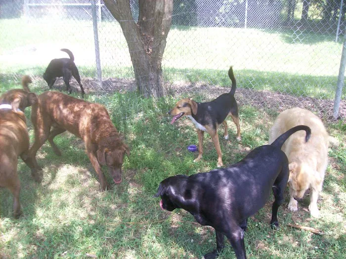 Grafton Animal Hospital Picture 10