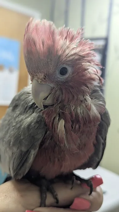 Grafton Animal Hospital Picture 7