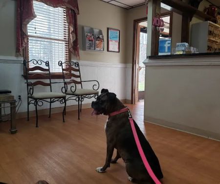 Woodland Veterinary Hospital: Amor Dawn Erikso DVM