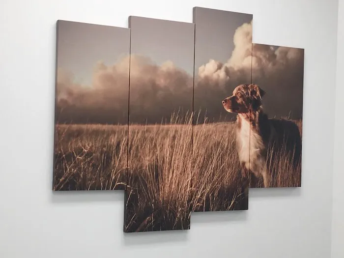 Commonwealth Animal Hospital Picture 9