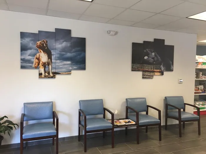 Commonwealth Animal Hospital Picture 6