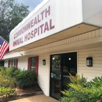 Commonwealth Animal Hospital ico