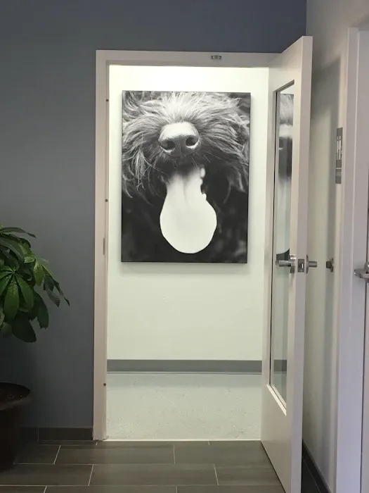 Commonwealth Animal Hospital Picture 10