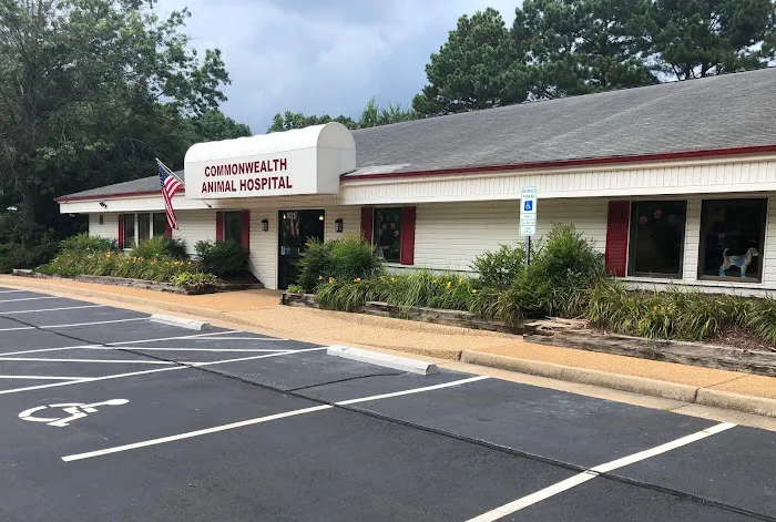 Commonwealth Animal Hospital Picture 3