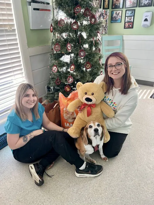 Brandermill Animal Hospital Picture 6