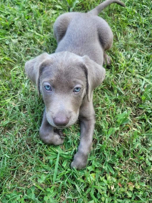 Banfield Pet Hospital Picture 3
