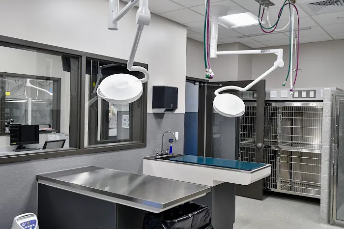 Virginia Veterinary Centers - Midlothian Picture 6
