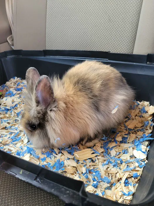 Country Family Pet Clinic Picture 4