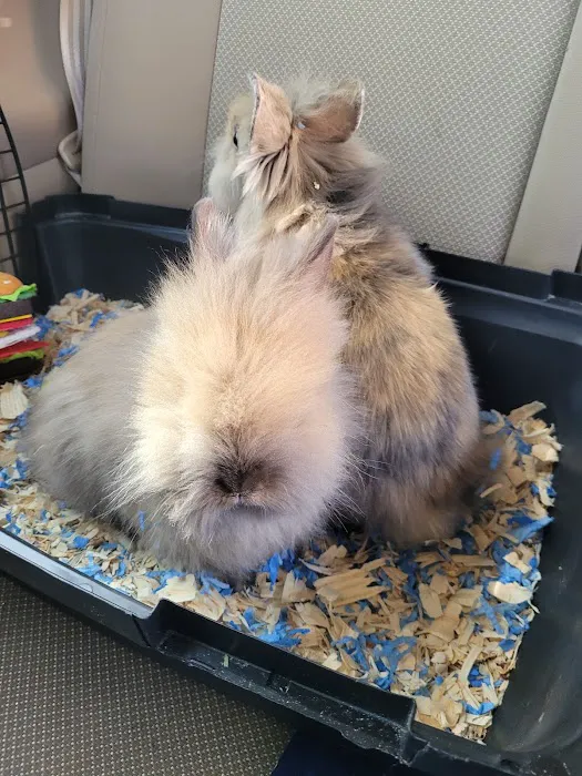 Country Family Pet Clinic Picture 3