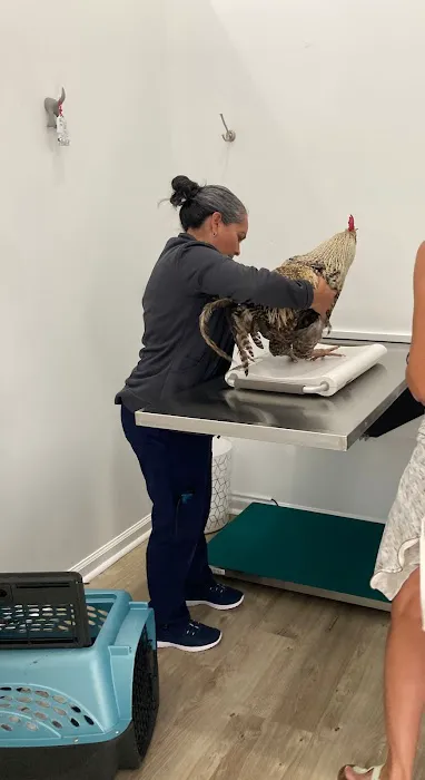 Country Family Pet Clinic Picture 6