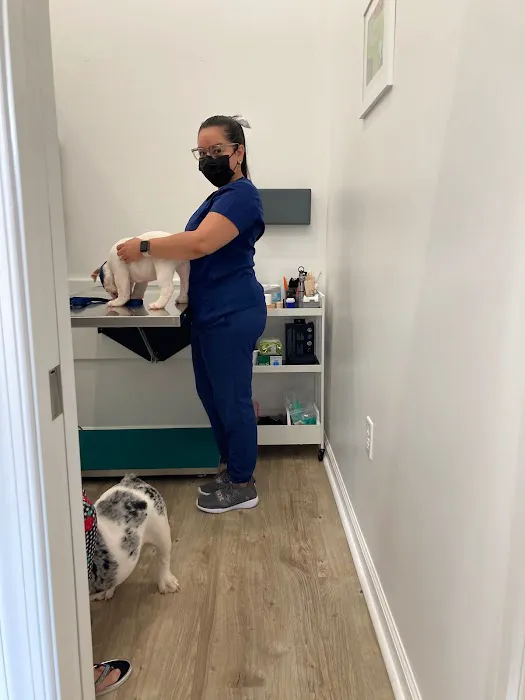 Country Family Pet Clinic Picture 8