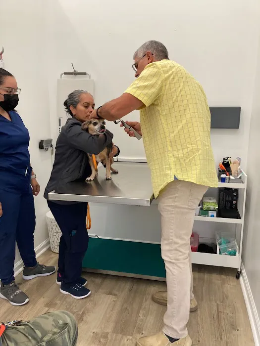 Country Family Pet Clinic Picture 7
