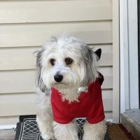Country Family Pet Clinic ico