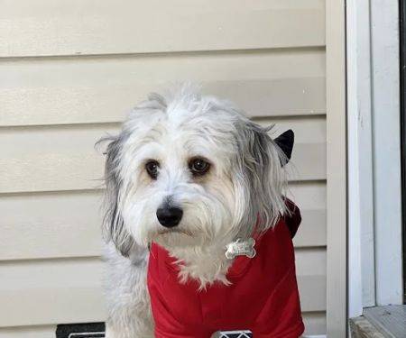 Country Family Pet Clinic