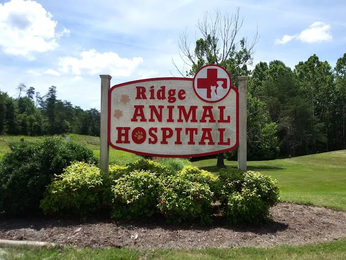 Ridge Animal Hospital Picture 8