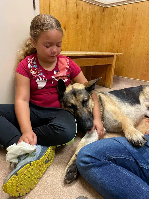 Ridge Animal Hospital: Miller Sarah R DVM Picture 3