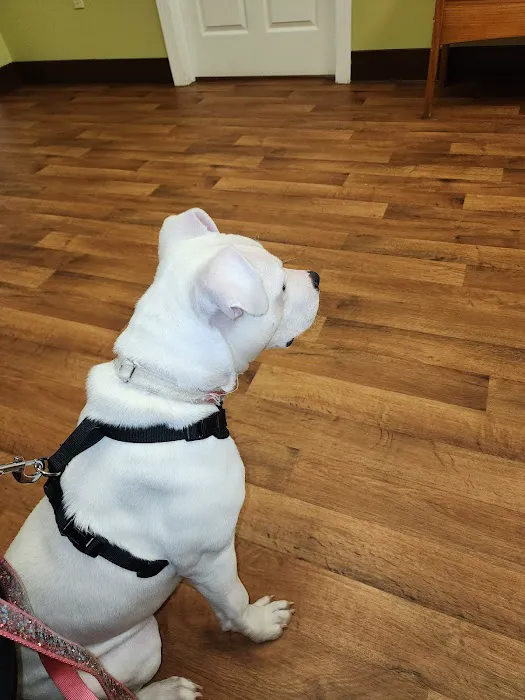 Cumberland Animal Hospital Picture 3