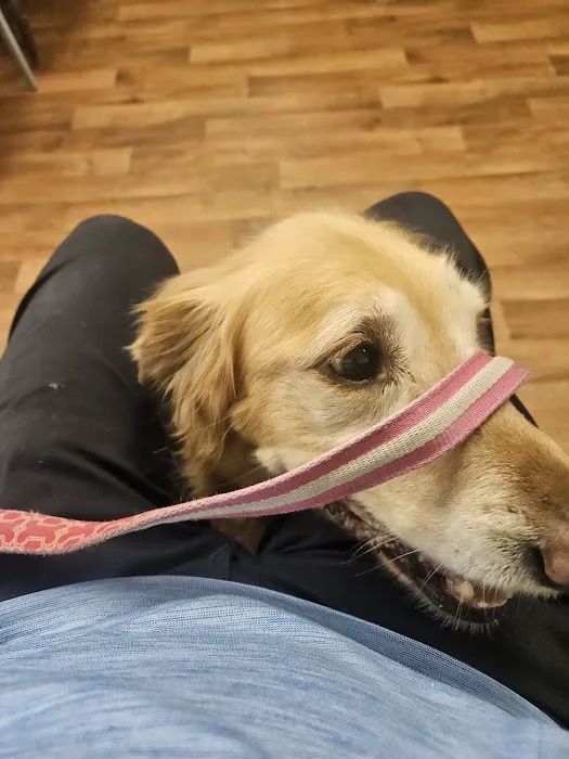 Cumberland Animal Hospital Picture 6