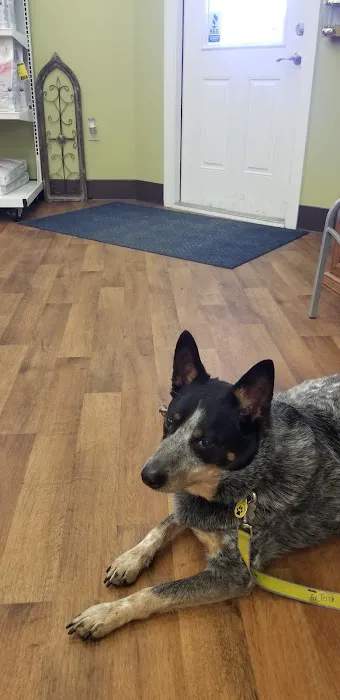Cumberland Animal Hospital Picture 8