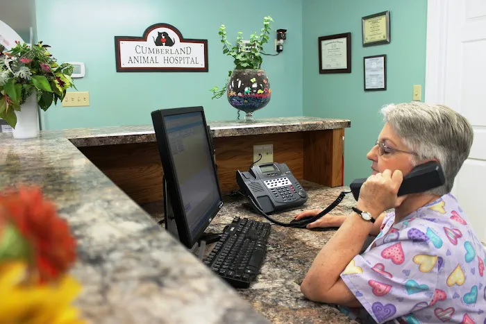Cumberland Animal Hospital Picture 9
