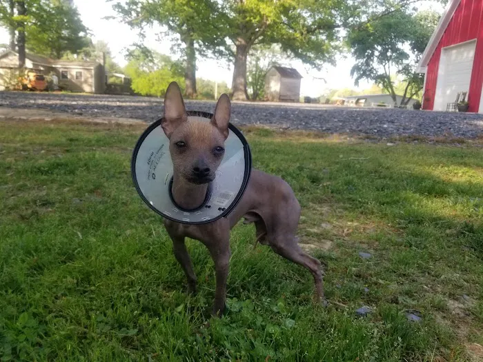 Cumberland Animal Hospital Picture 5