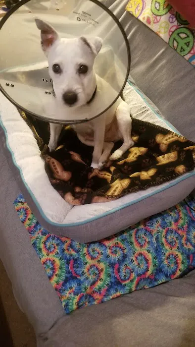 Cumberland Animal Hospital Picture 4