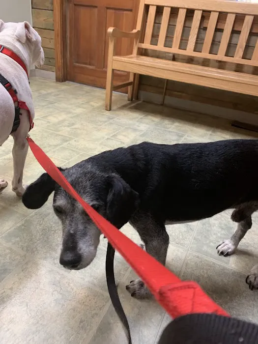 Town & Country Veterinary Clinic Picture 6