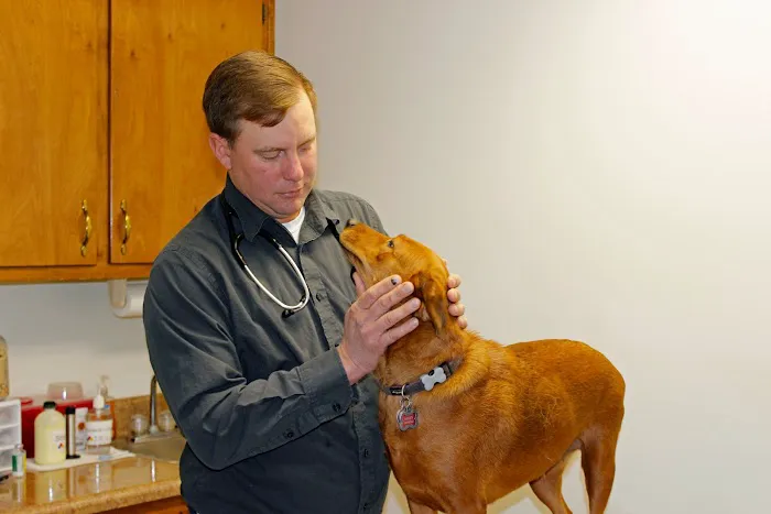Chesdin Animal Hospital Picture 6