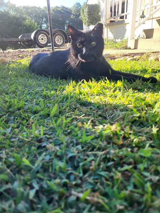 Chesdin Animal Hospital Picture 5