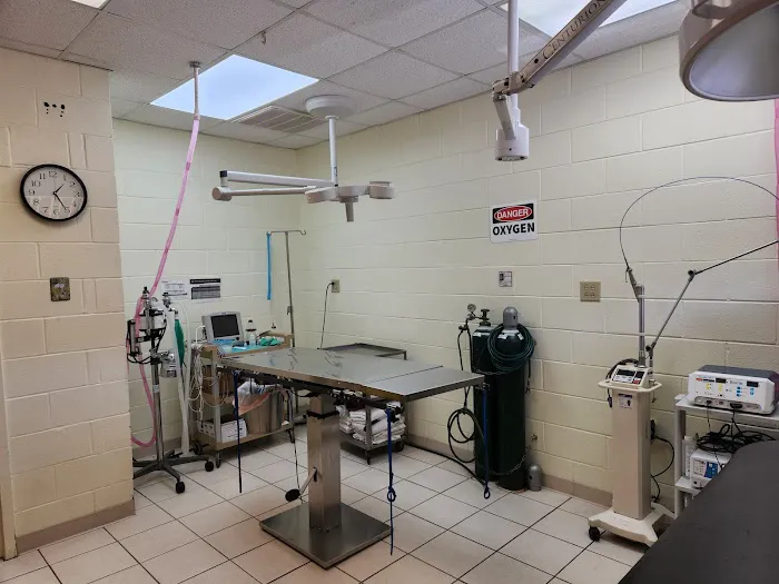 Colonial Heights Veterinary Hospital Picture 9