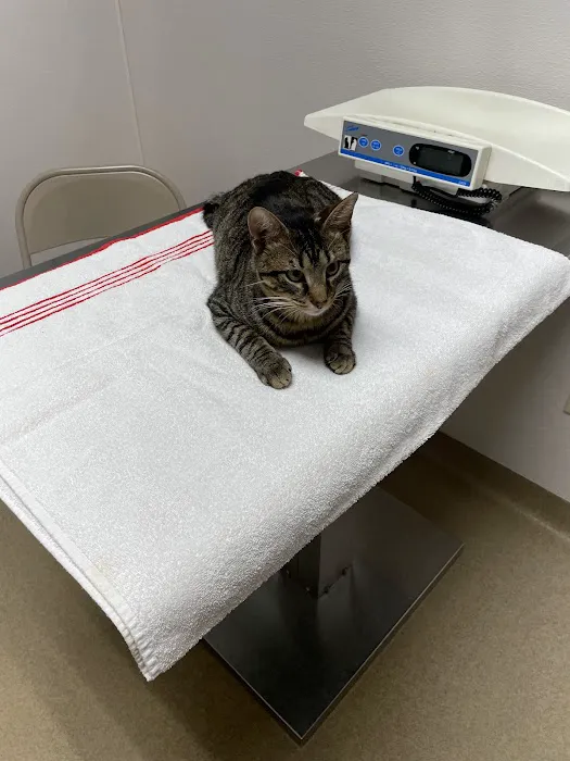 Hopewell Animal Hospital Picture 4