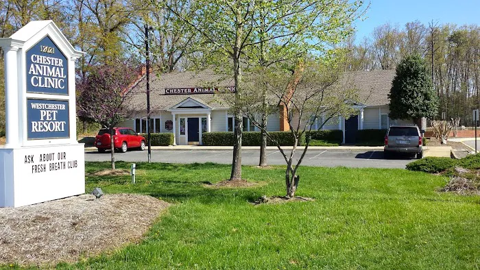 Chester Animal Clinic Picture 4