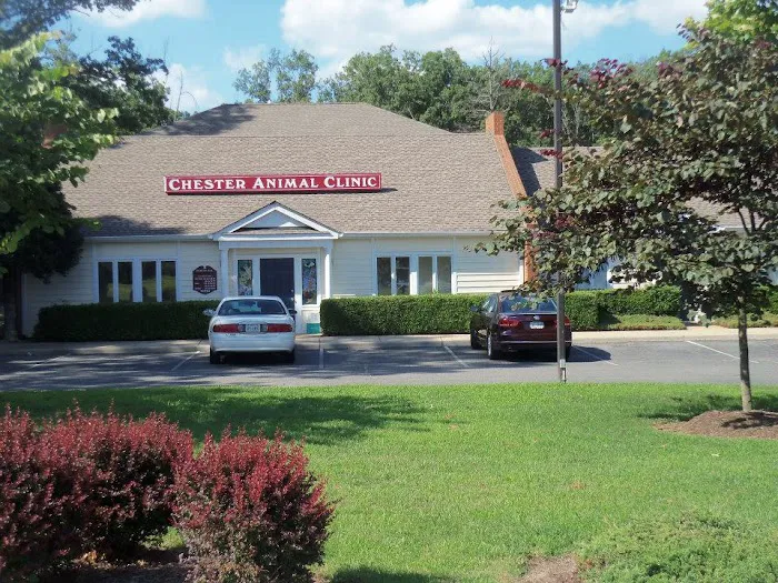 Chester Animal Clinic Picture 6