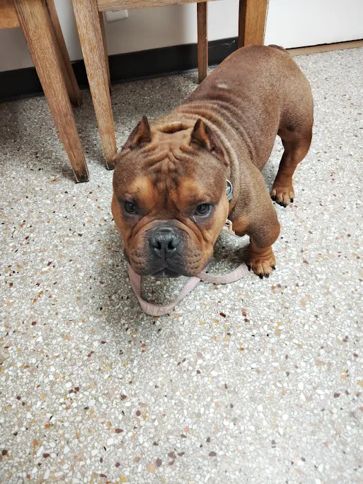 Crater Road Veterinary Hospital Picture 8