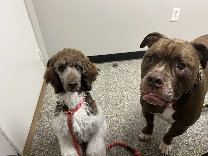 Crater Road Veterinary Hospital Picture 3