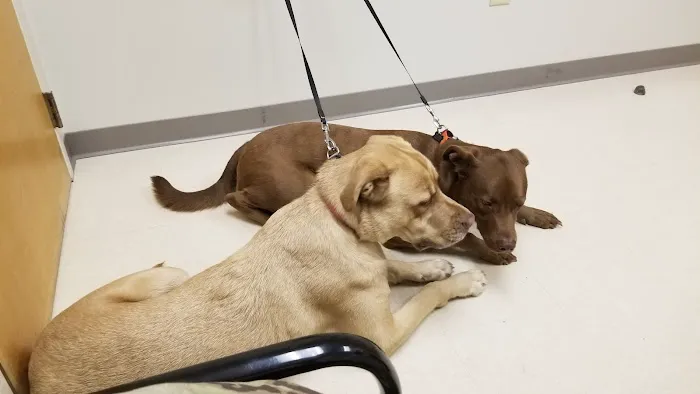Fort Lee Veterinary Treatment Facility Picture 5