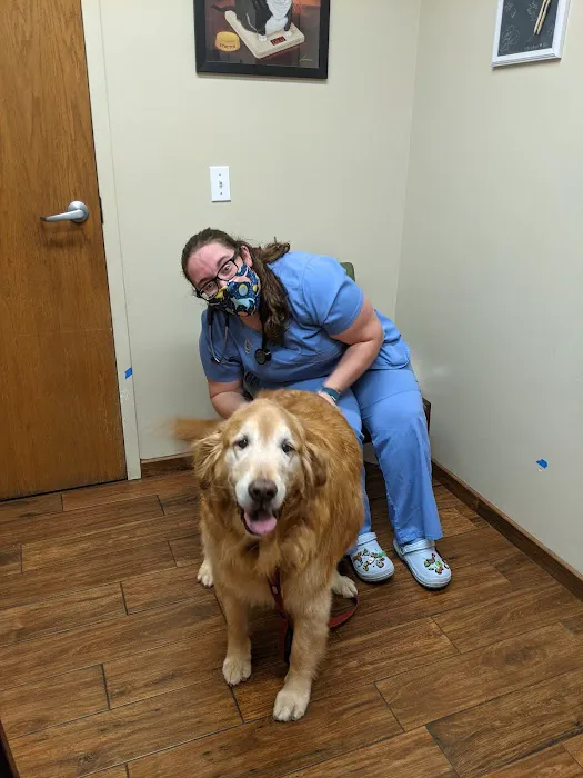 Norton Road Veterinary Hospital Picture 8