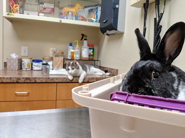 Norton Road Veterinary Hospital Picture 6
