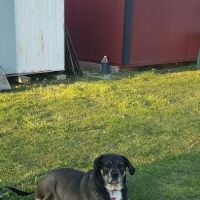Mt Orab Veterinary Clinic: Hayes Mark DVM ico