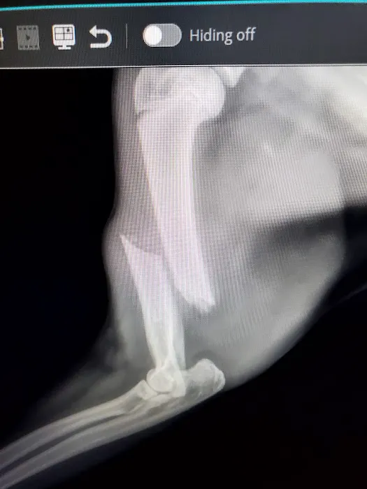 Adams County Veterinary Services - Dr. Dan Meakin Picture 1