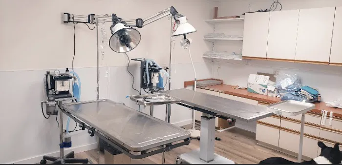 Adams County Veterinary Services - Dr. Dan Meakin Picture 3