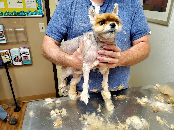 Adams County Veterinary Services - Dr. Dan Meakin Picture 9