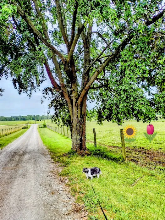 Brown County Veterinary Services Picture 3