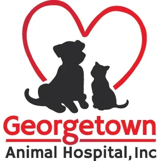Georgetown Animal Hospital: Chalker Debra C DVM Picture 1